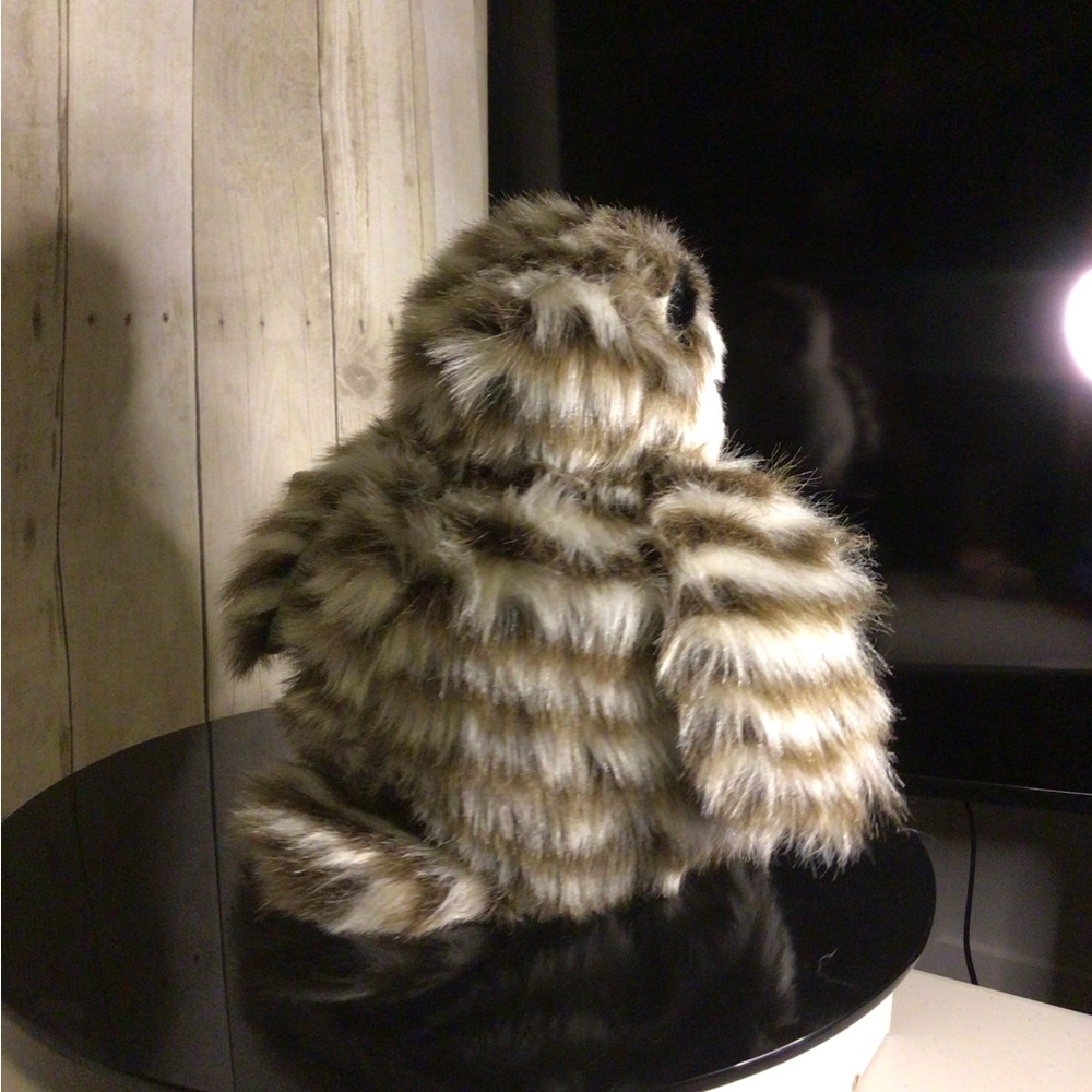 Owl - Picture 3 of 4